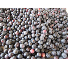 Individual Quick Freezin-IQF Organic Blueberry Zl-1012